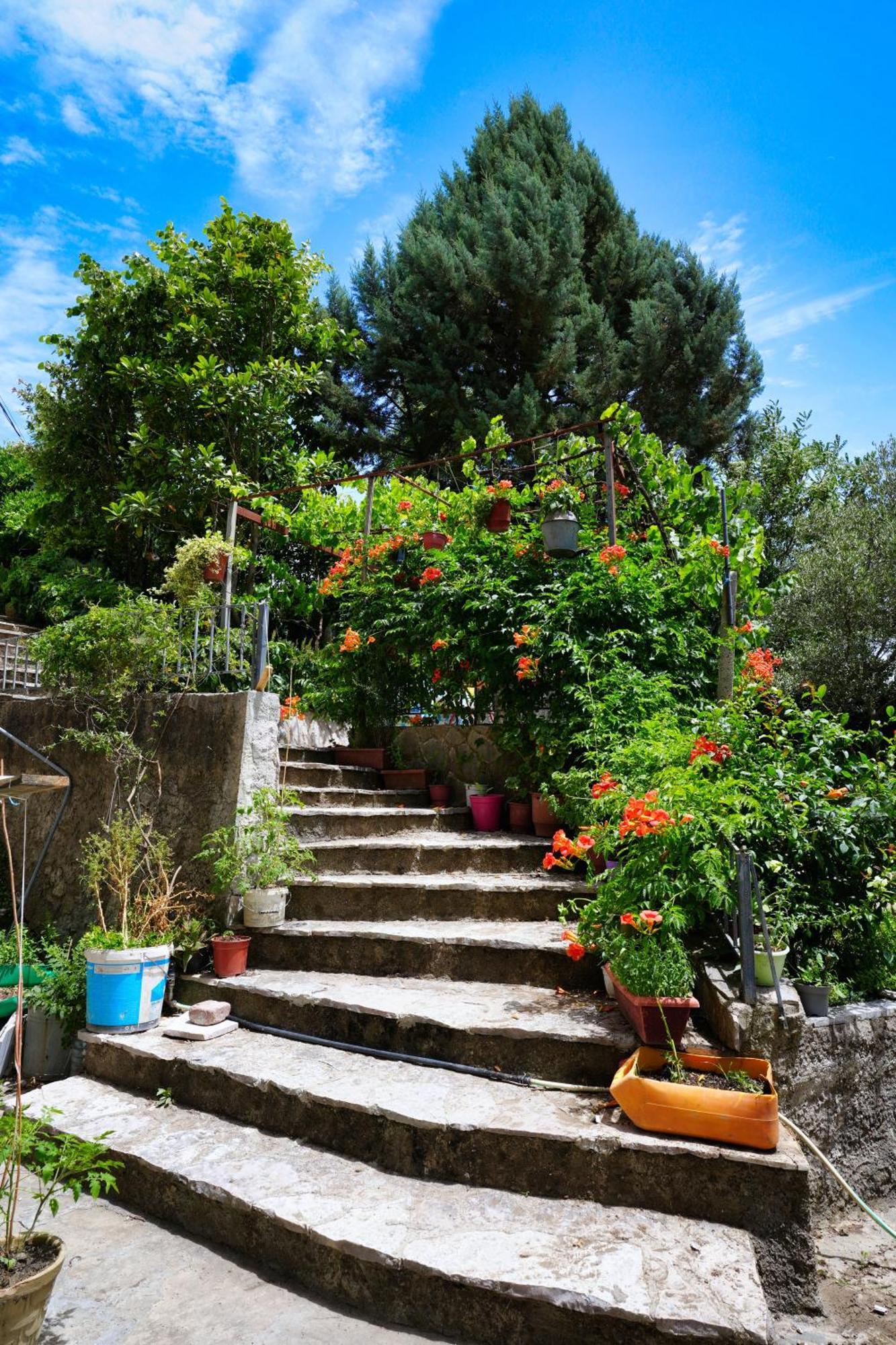 Vila Banushi Gjirokaster Luaran gambar